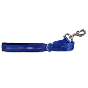 Reflective Dog Blue 6-ft Leash NWT Blue